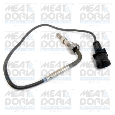 Sensor, exhaust gas temperature